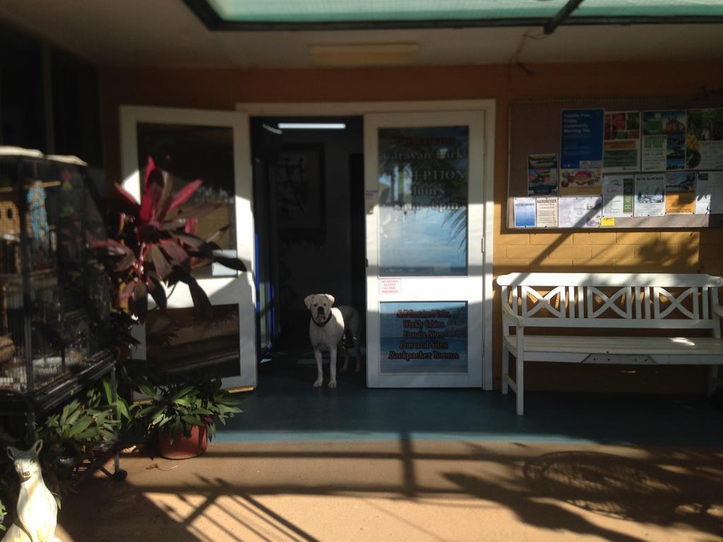 Carnarvon Caravan Park Buitenkant foto